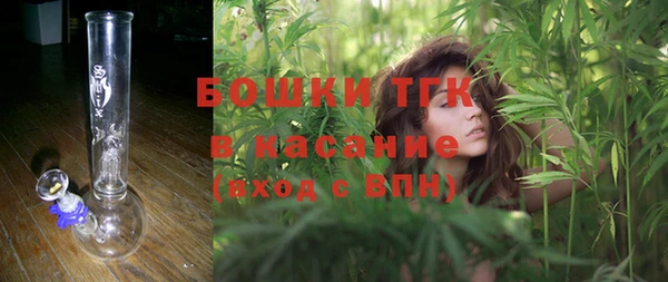 стафф Аркадак