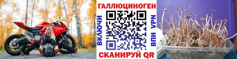 Купить закладки  Невельск  Галлюциногенные грибы Magic Shrooms 